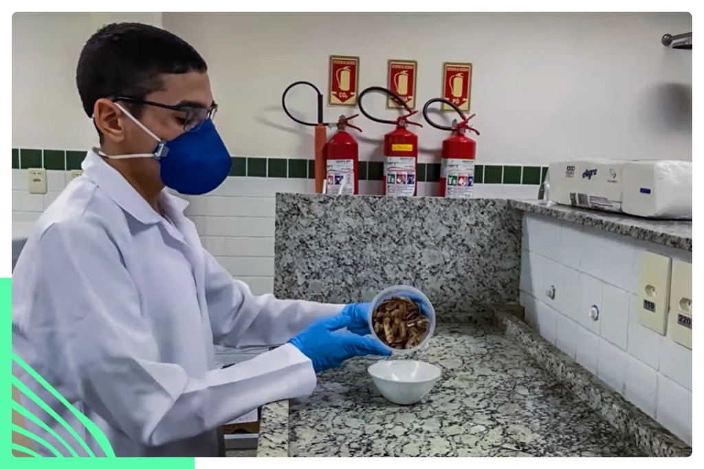O estudante desenvolveu um biocarvão ativado capaz de adsorver substâncias tóxicas presentes na água.